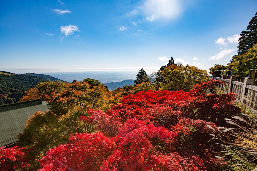 ⛩️ 오야마 아후리 신사 이미지 6